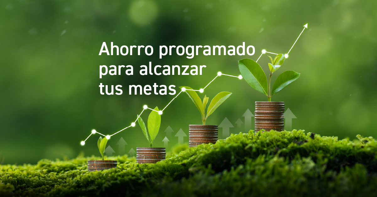 ahorro_programado2